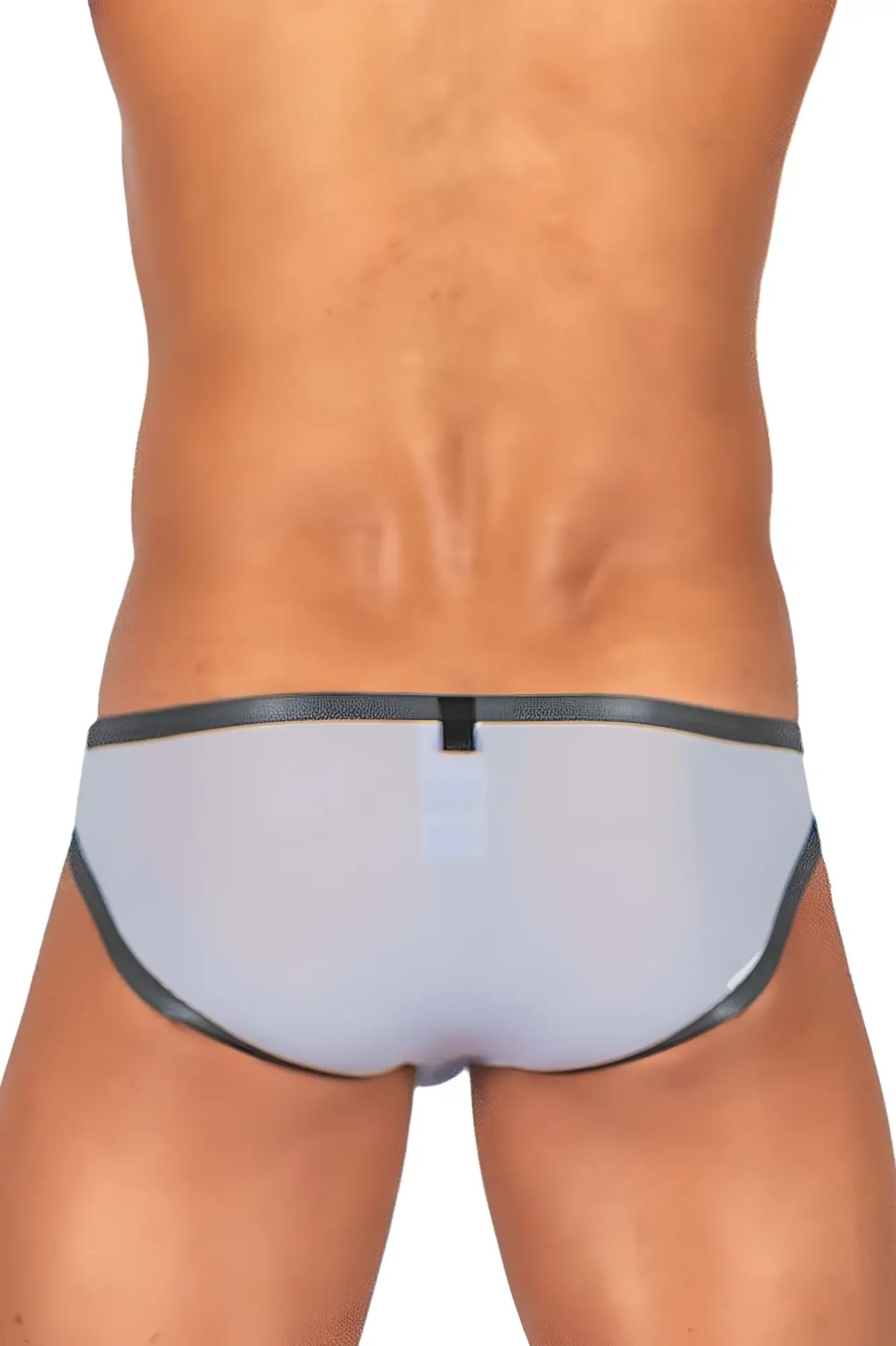 Gray translucent briefs with black trim and small central tab from private structure bare bikini lilac collection