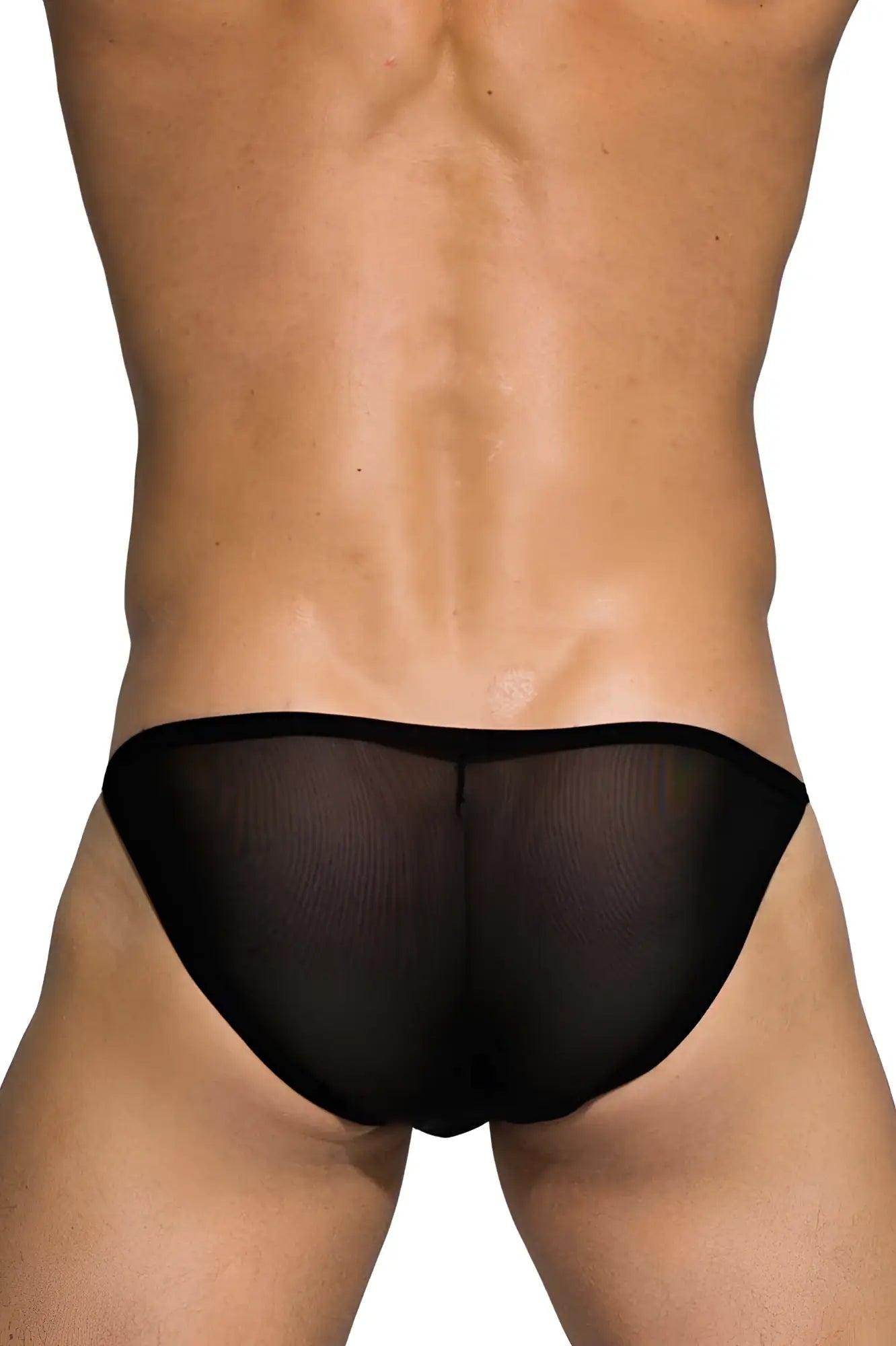 Black sheer mesh low rise bikini briefs by private structure in black for comfortable intimate wear