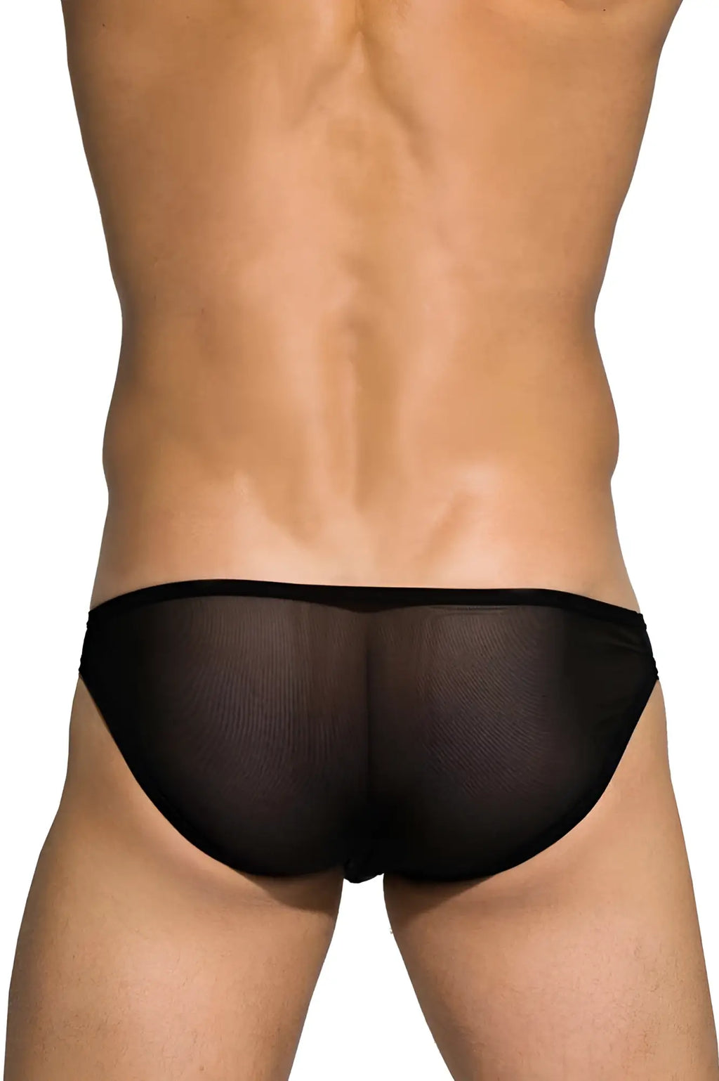 Black sheer mesh briefs private structure diamu3455bt desire intima low rise bikini in black front side view