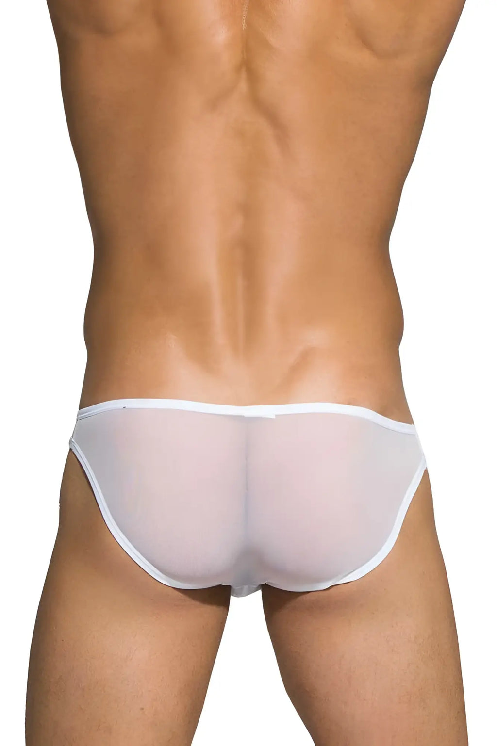 White sheer mesh low rise bikini briefs with solid waistband by private structure desire intima in white