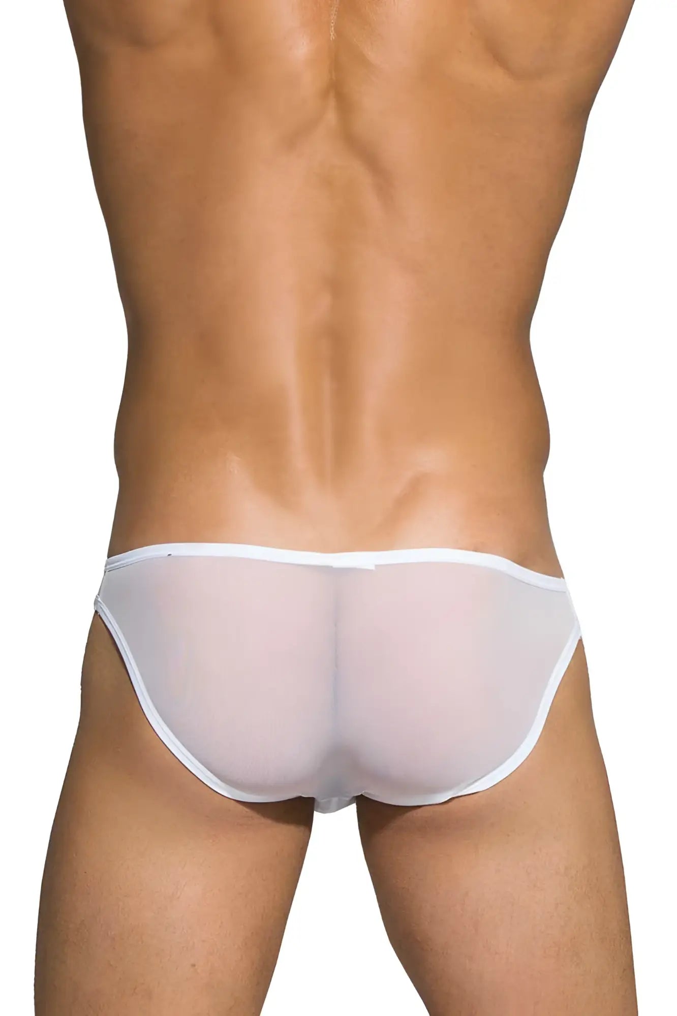 White sheer mesh low rise bikini briefs with solid waistband by private structure desire intima in white