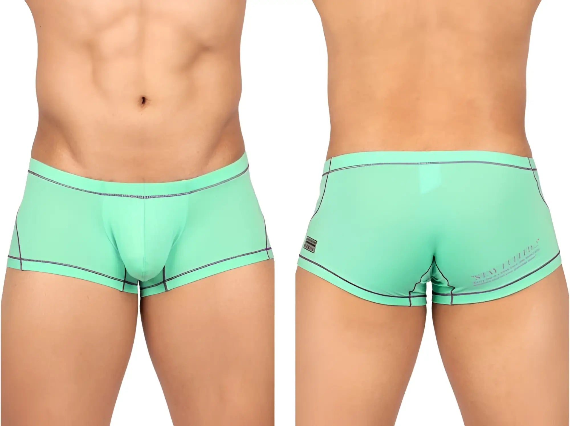 Back side of mint green Private Structure EPUS4570 Prime Elysian hipster briefs with black trim and subtle brand logo