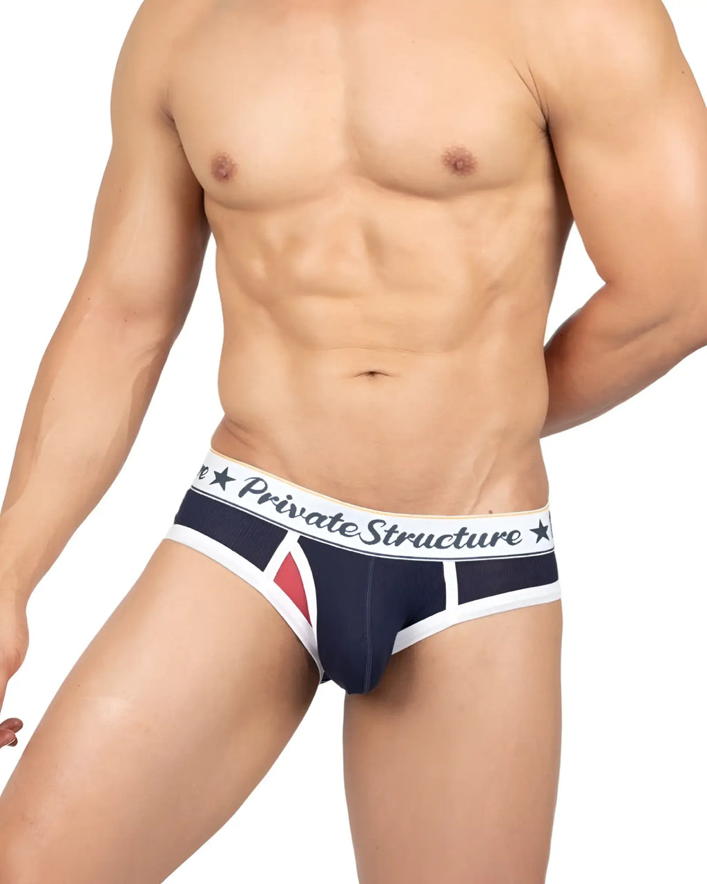 Navy blue and white mens briefs with red triangular accent and private structure branded waistband mid waist mini brief