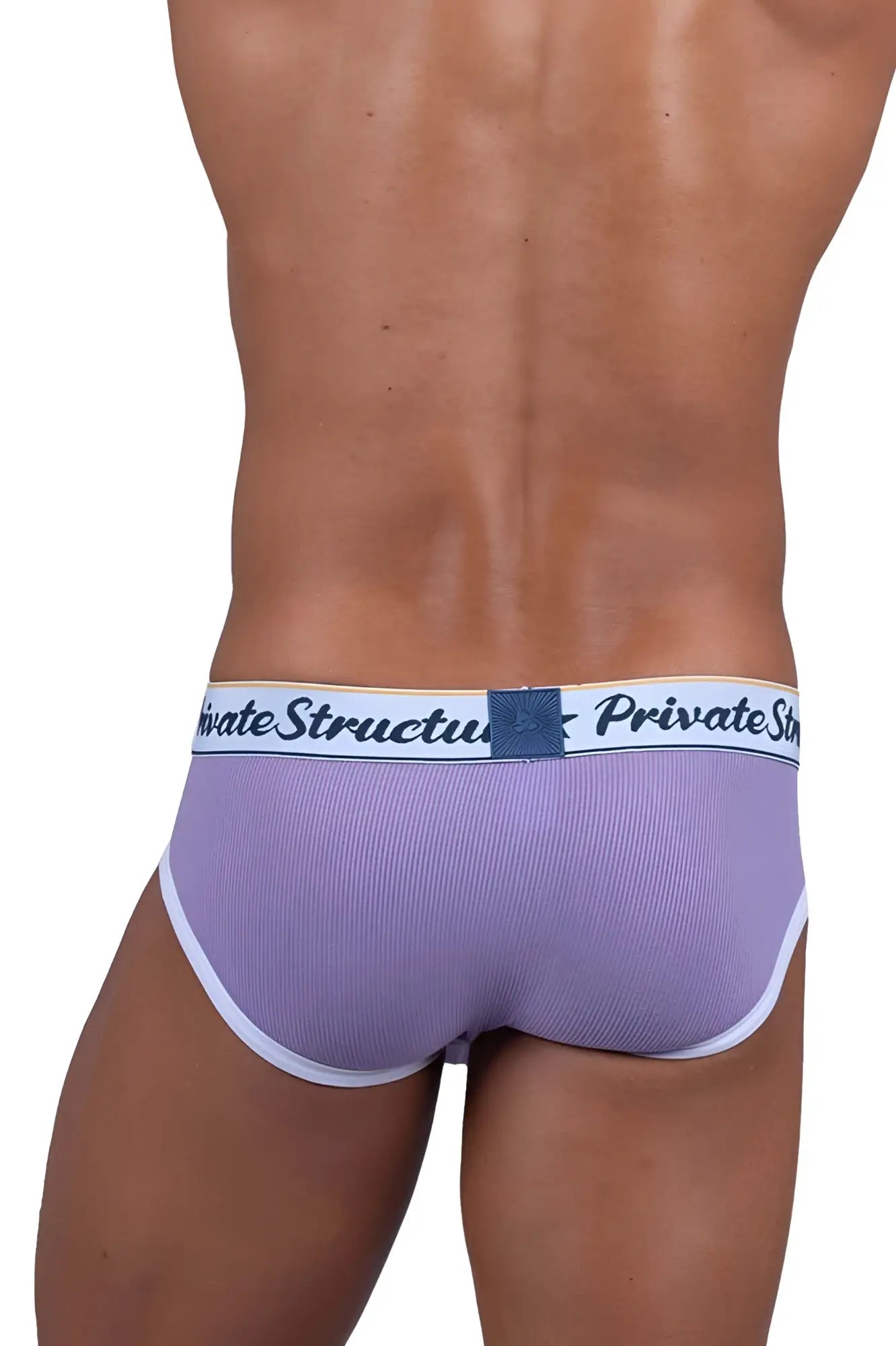 Lavender ribbed briefs with white trim and branded waistband private structure scus4529 classic mid waist mini briefs purple