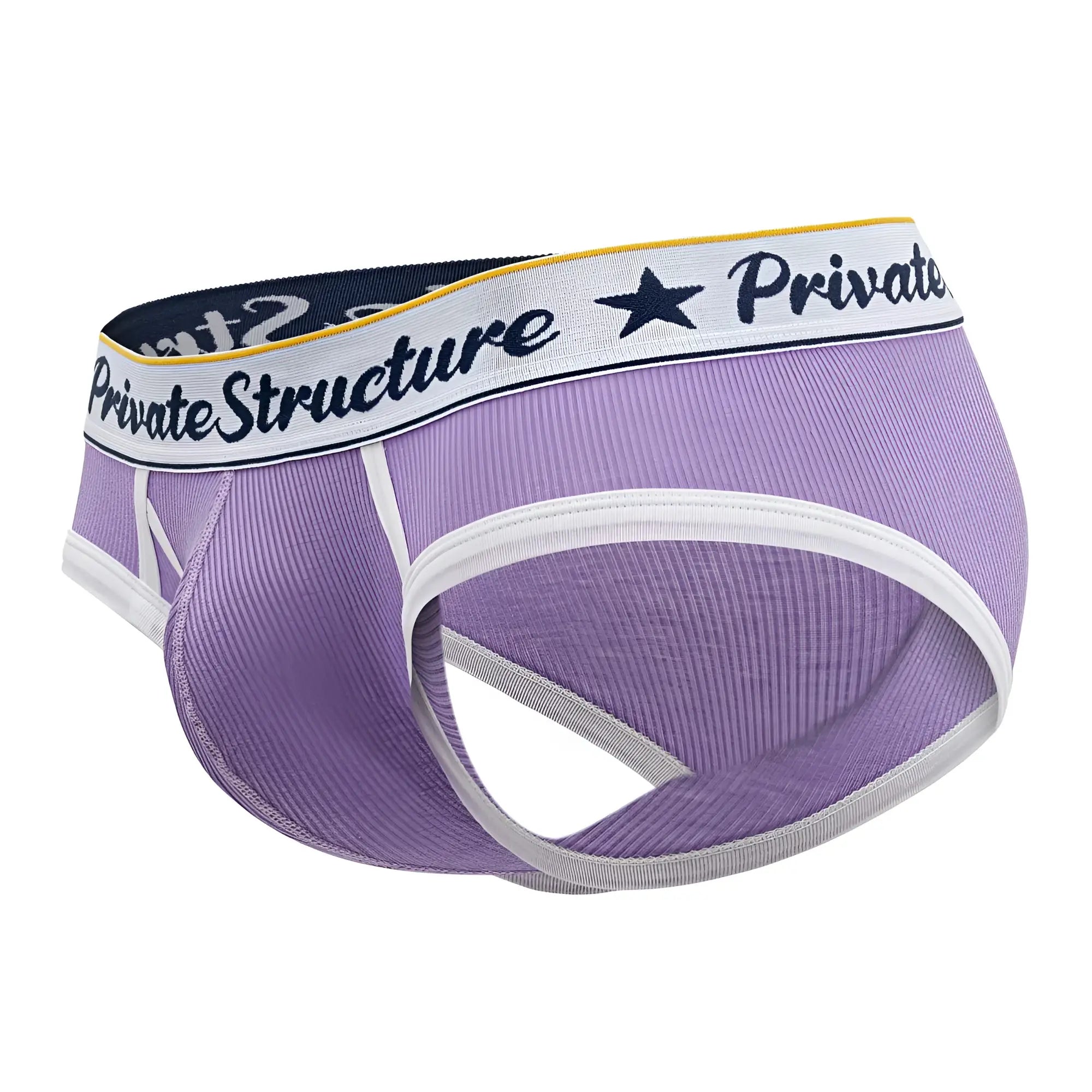 Purple ribbed men’s briefs with white trim and Private Structure waistband mid waist mini briefs style