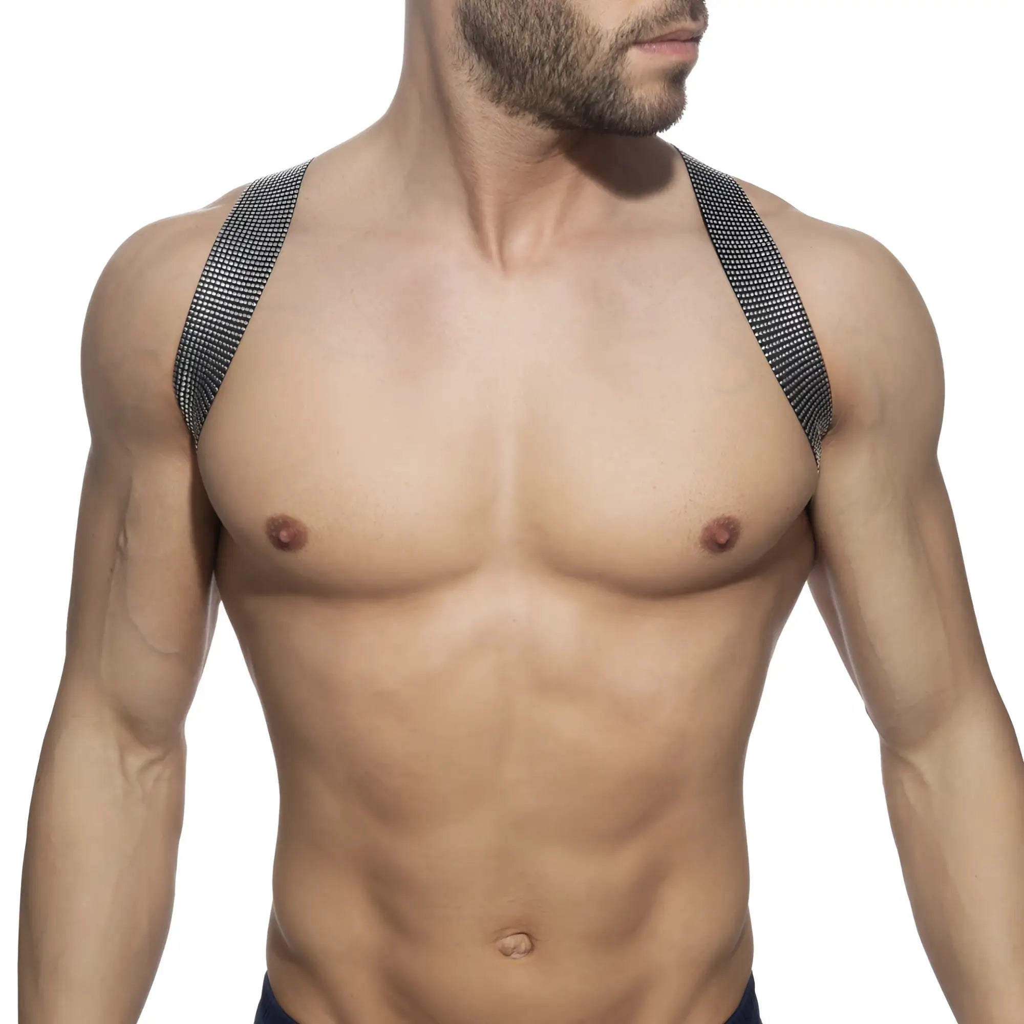 Black mesh shoulder straps with a subtle grid pattern on the pushtpin spider harness back side