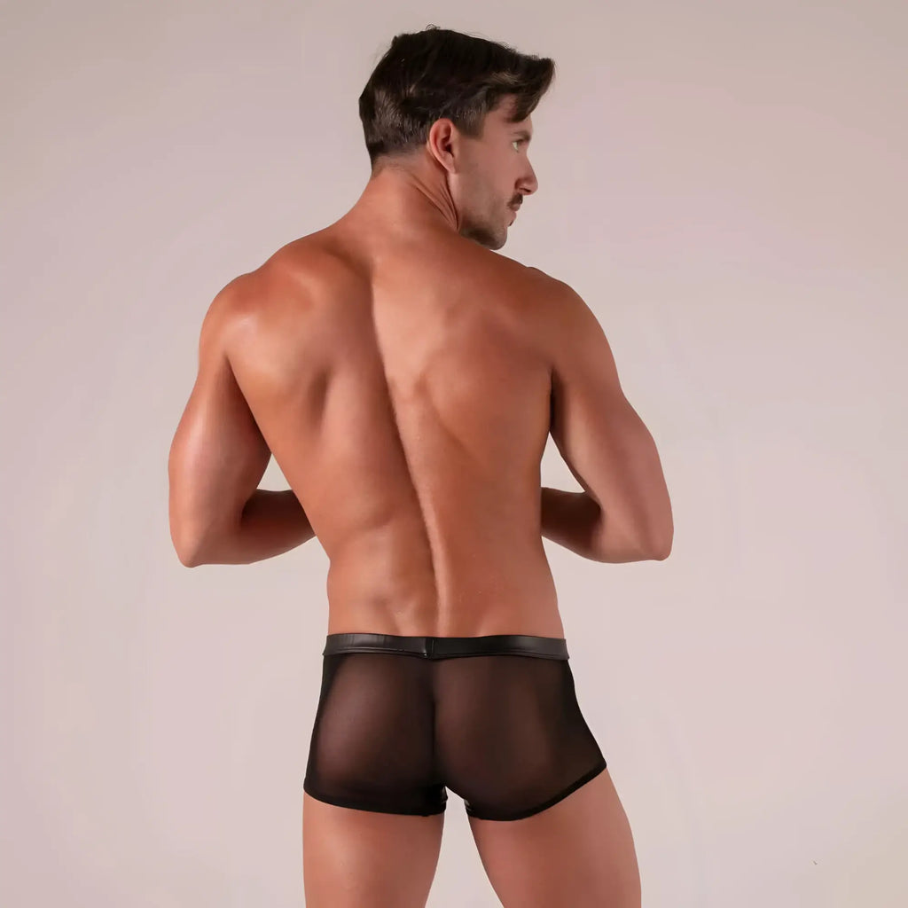 Black sheer mesh briefs rebel zipped trunks with solid black waistband shown from the back side