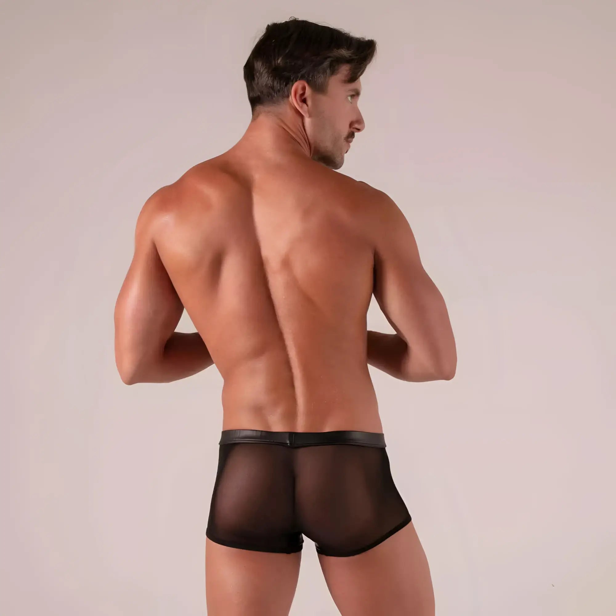 Black sheer mesh briefs rebel zipped trunks with solid black waistband shown from the back side