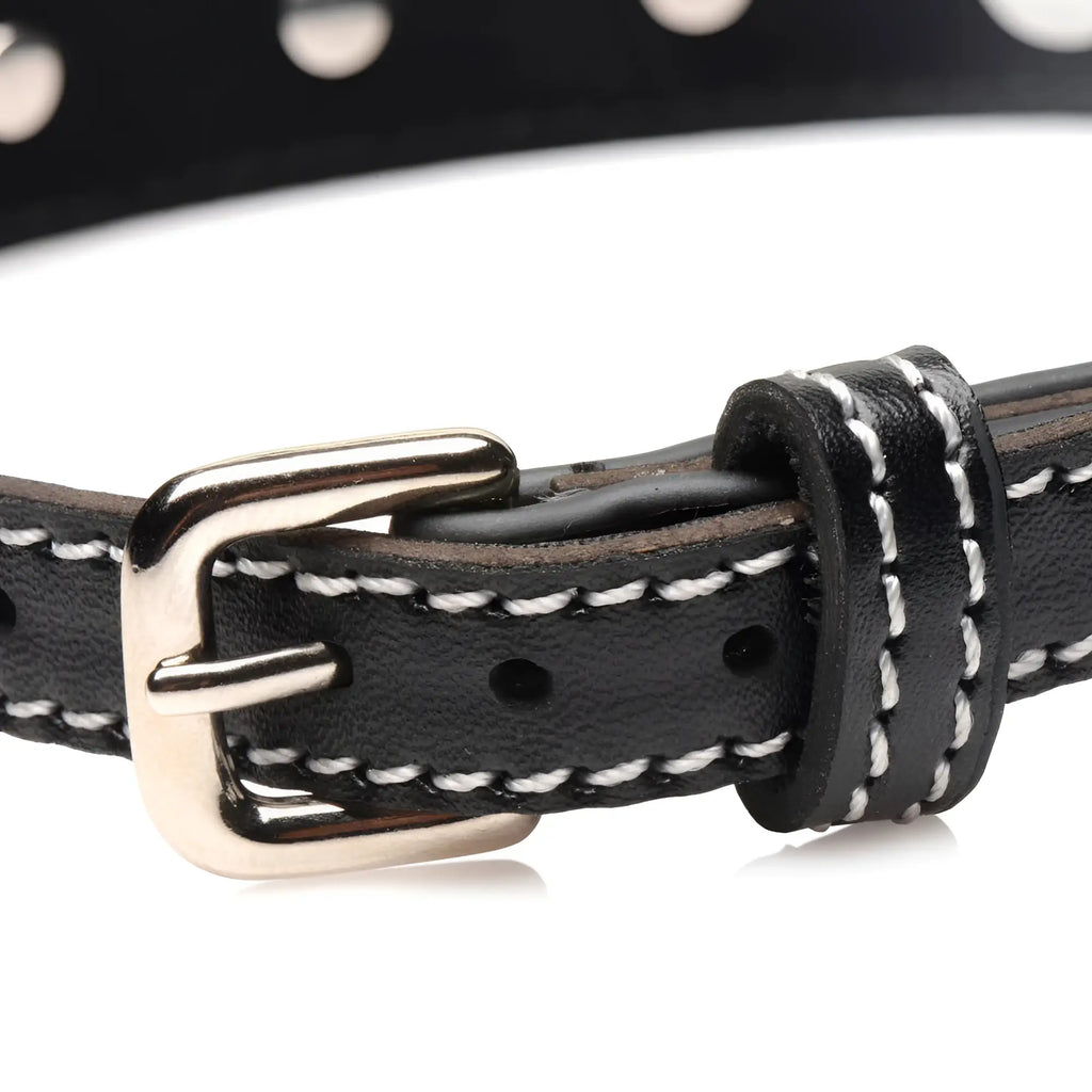 Black leather rhinestone choker with silver buckle white stitching and o-ring for stylish dog collar accessory