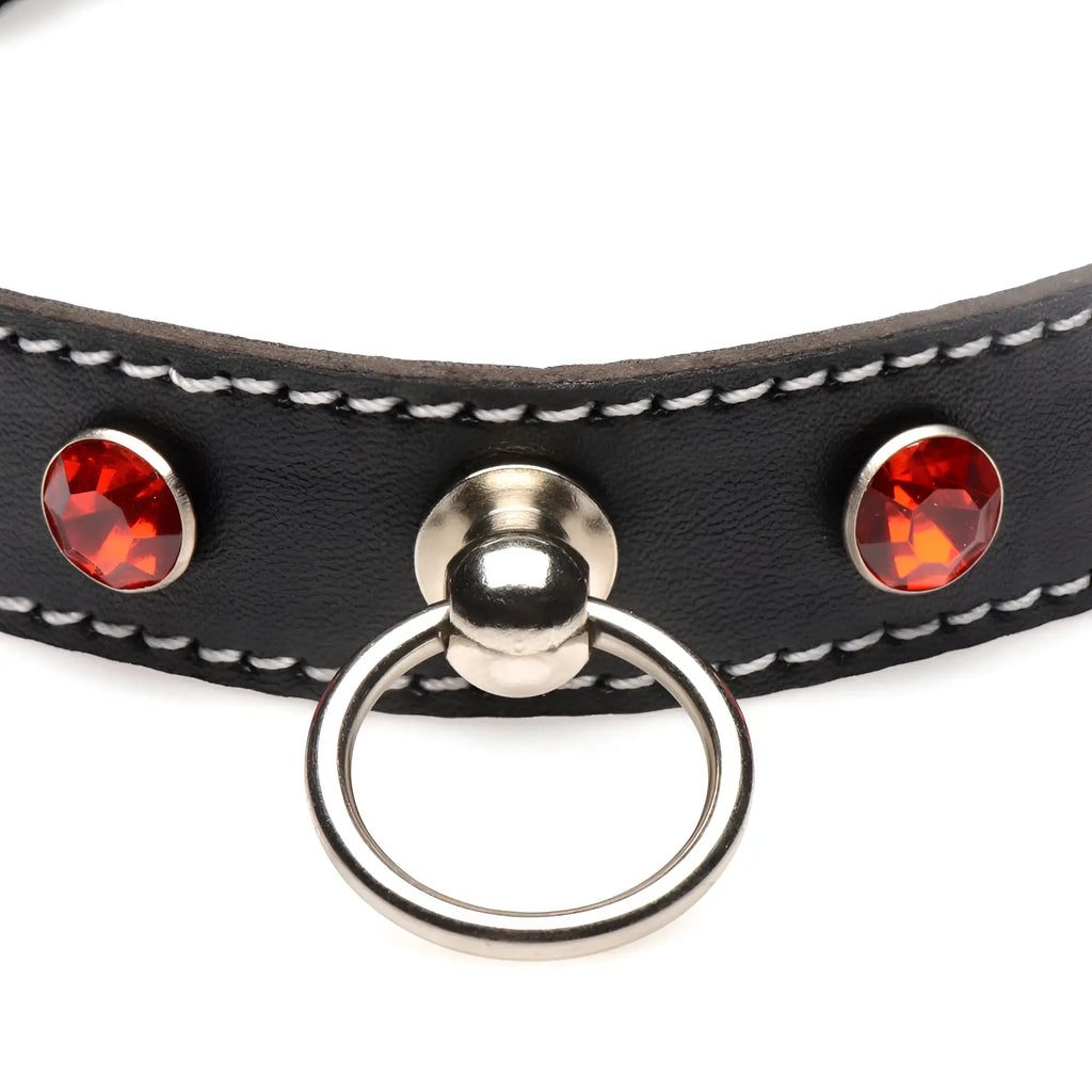Black leather rhinestone choker with silver o-ring buckle and two oval red gemstones on either side