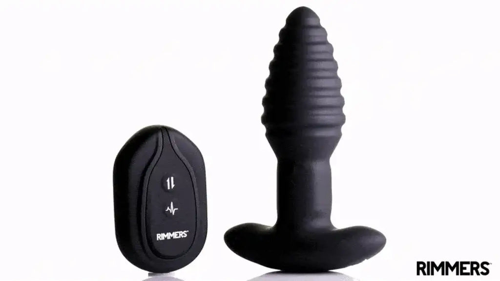 Rimmers Model-E black, ribbed vibrating plug next to its matching remote control on a white background.