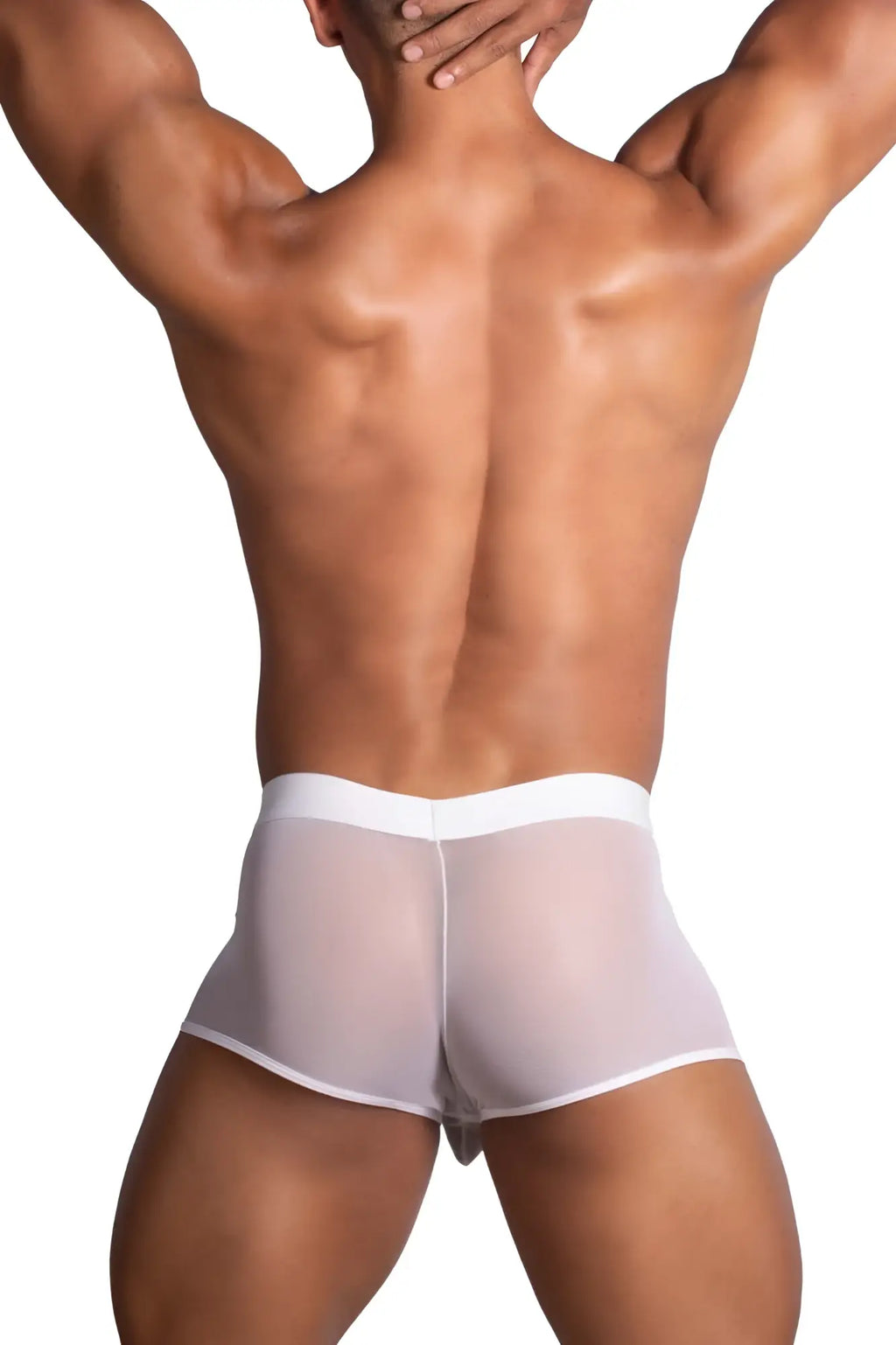 Roger smuth rs072 trunks in white with transparent white mesh briefs and a solid white waistband front view