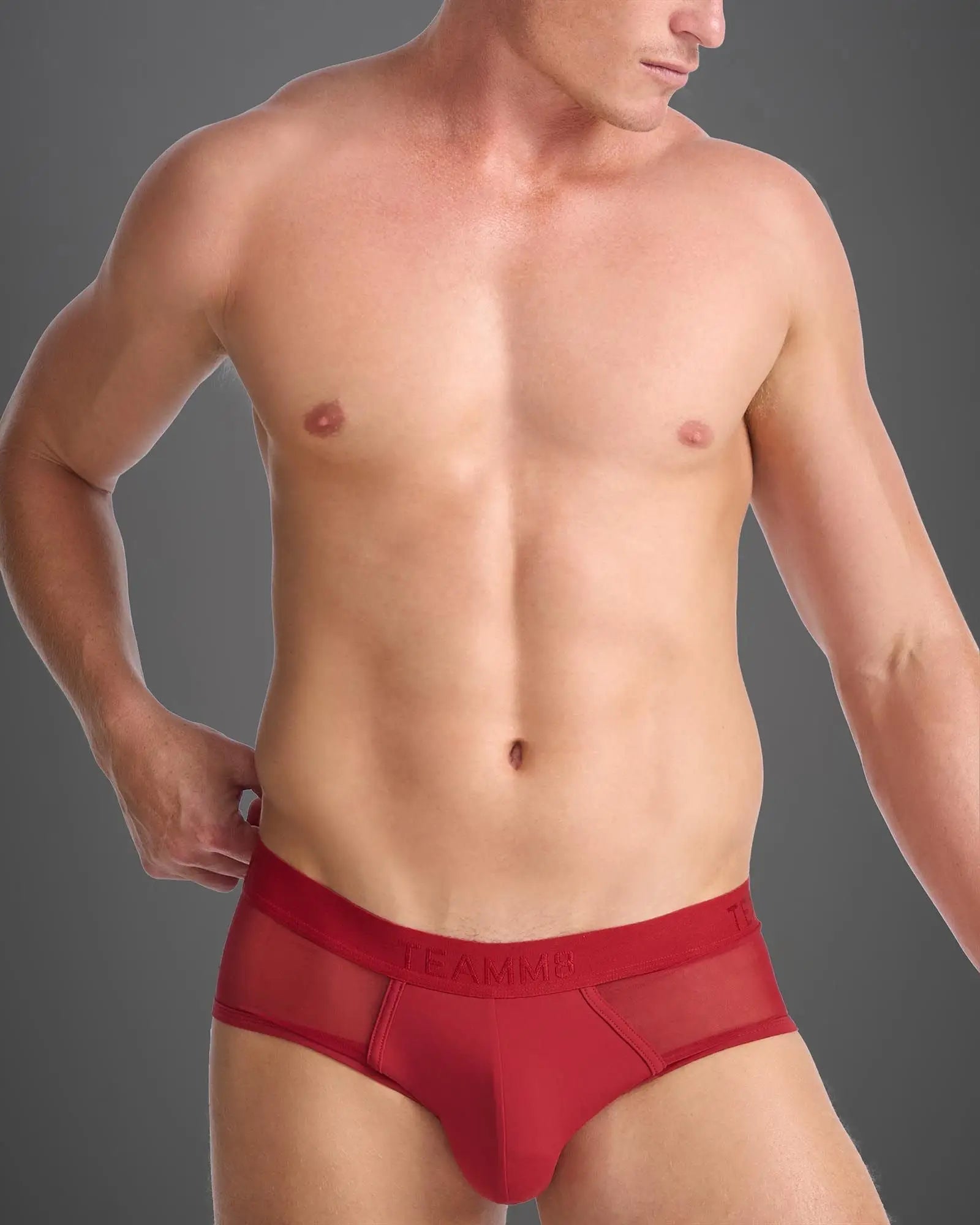 Score sheer brief red mesh briefs with solid red waistband and treamm brand name embroidered in white