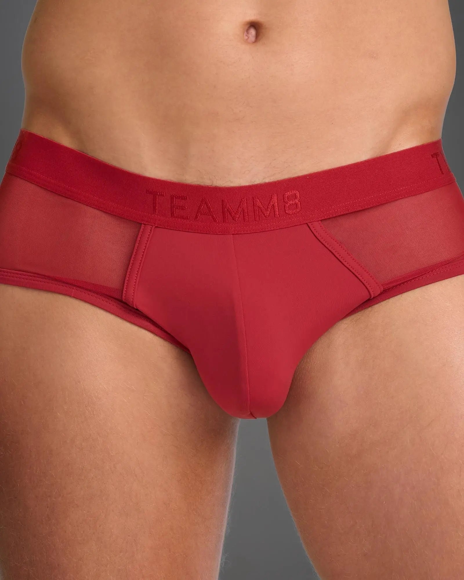 Red team score sheer brief men’s briefs with mesh panel and elastic waistband front view