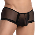 Black sheer mesh men’s bikini brief with lace trim from secret male smi039 shown from the front