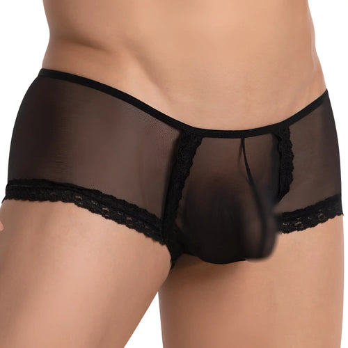 Black sheer mesh men’s bikini brief with lace trim from secret male smi039 shown from the front