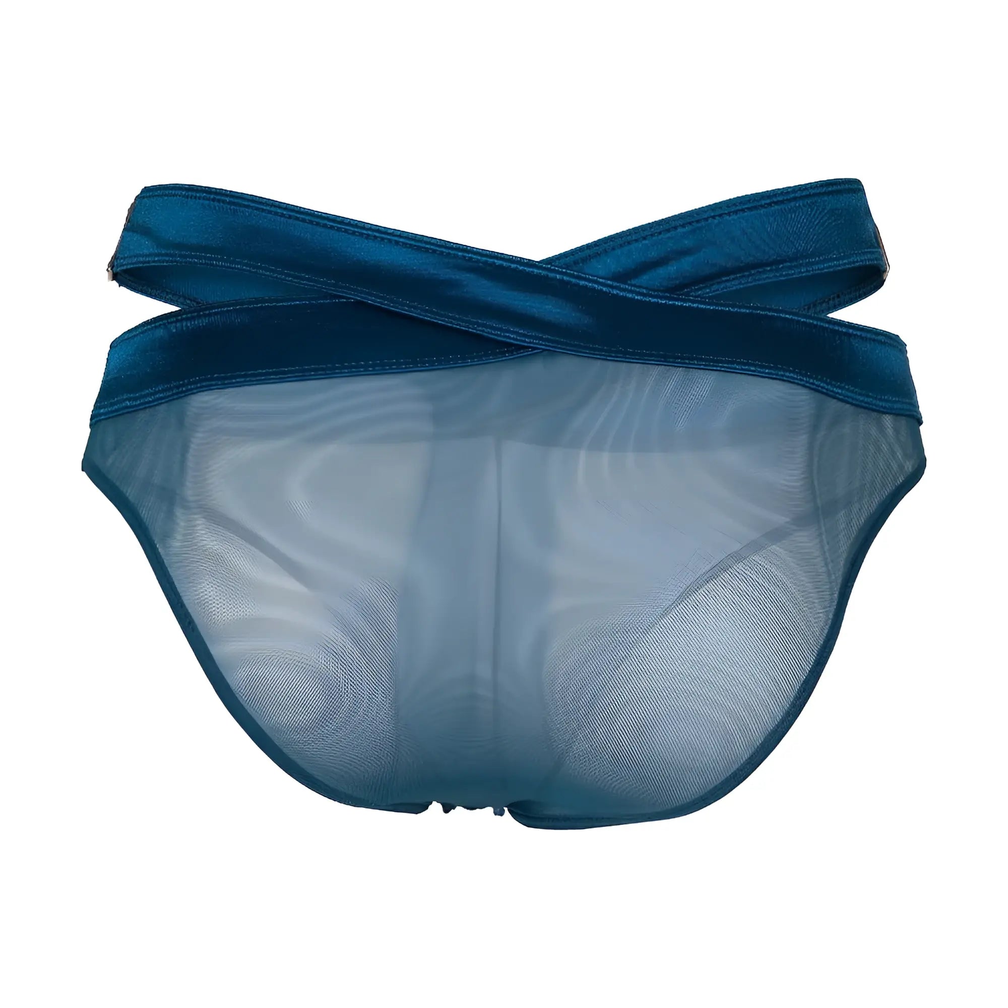 Deep blue satin-trimmed mesh briefs with cross-back design shown from the back in secret male smi077 bikini style