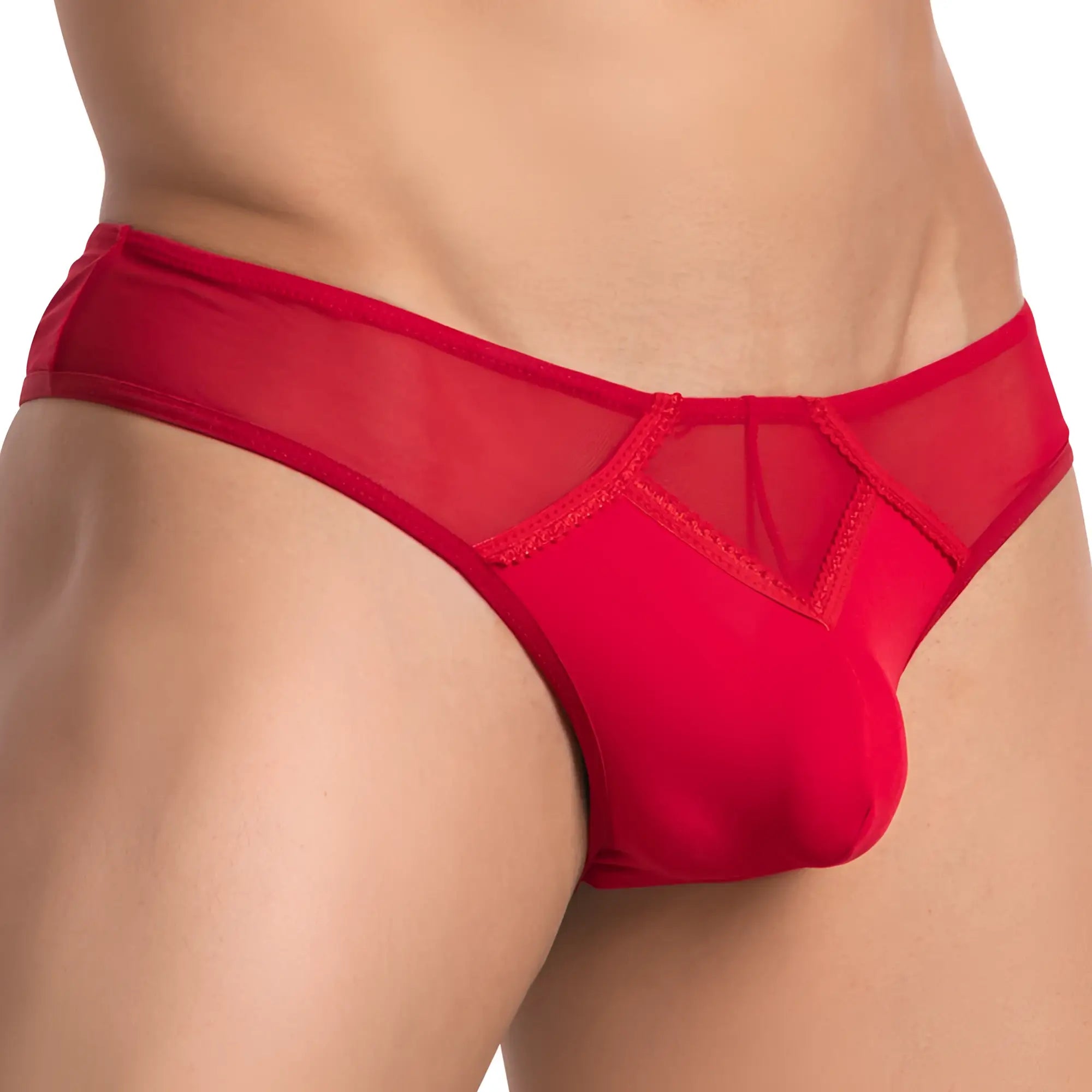 Red sheer mesh briefs with a solid front panel and intricate lace detailing from secret male smk012 bikini brief