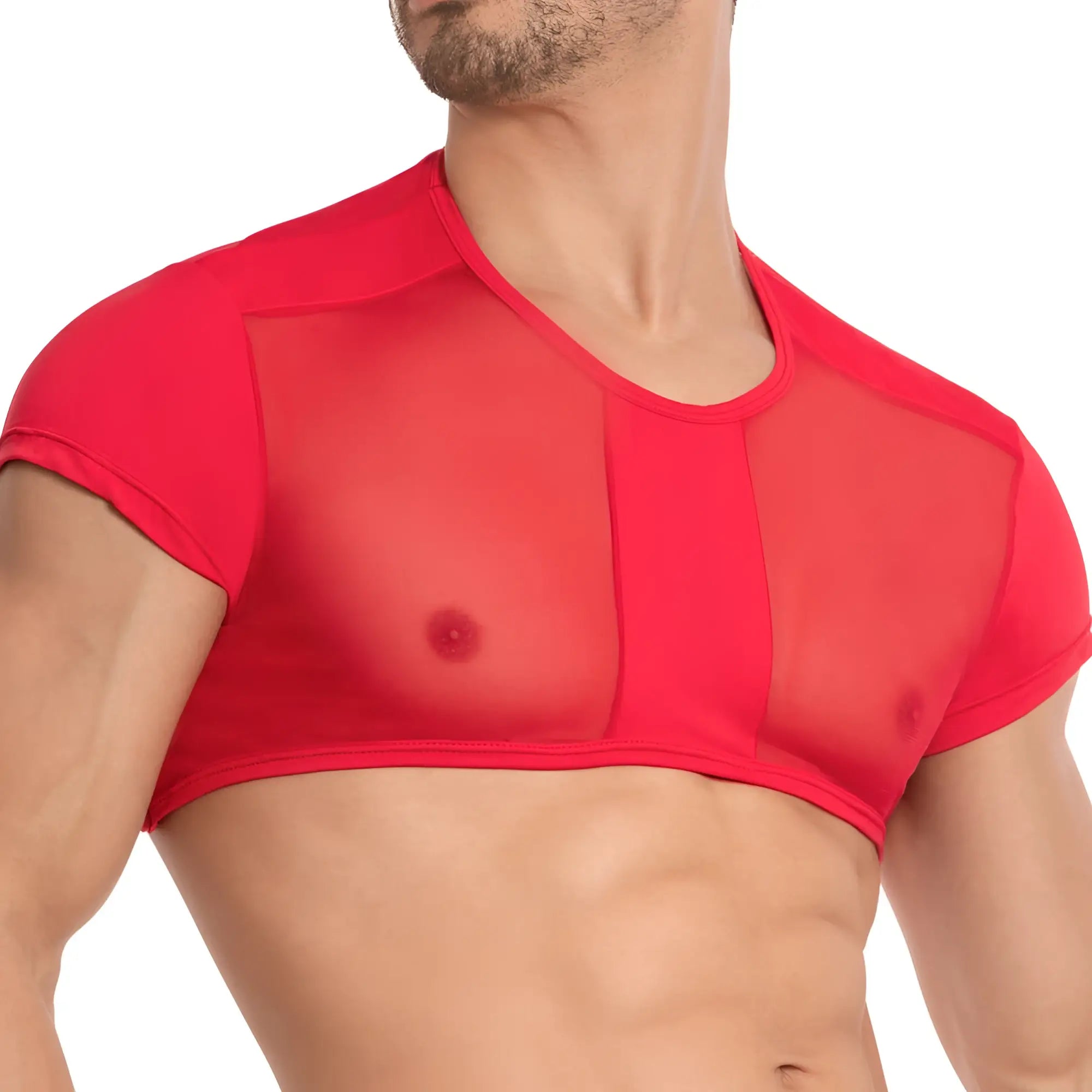 Red sheer mesh top with short sleeves and rounded neckline from secret male smw002 tops and bras collection