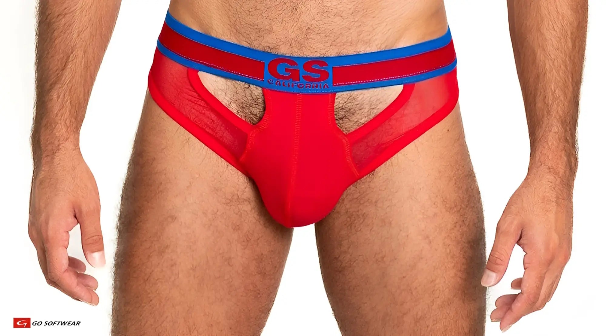 Red sheer mesh scoop thong briefs with blue elastic waistband featuring gs logo front view