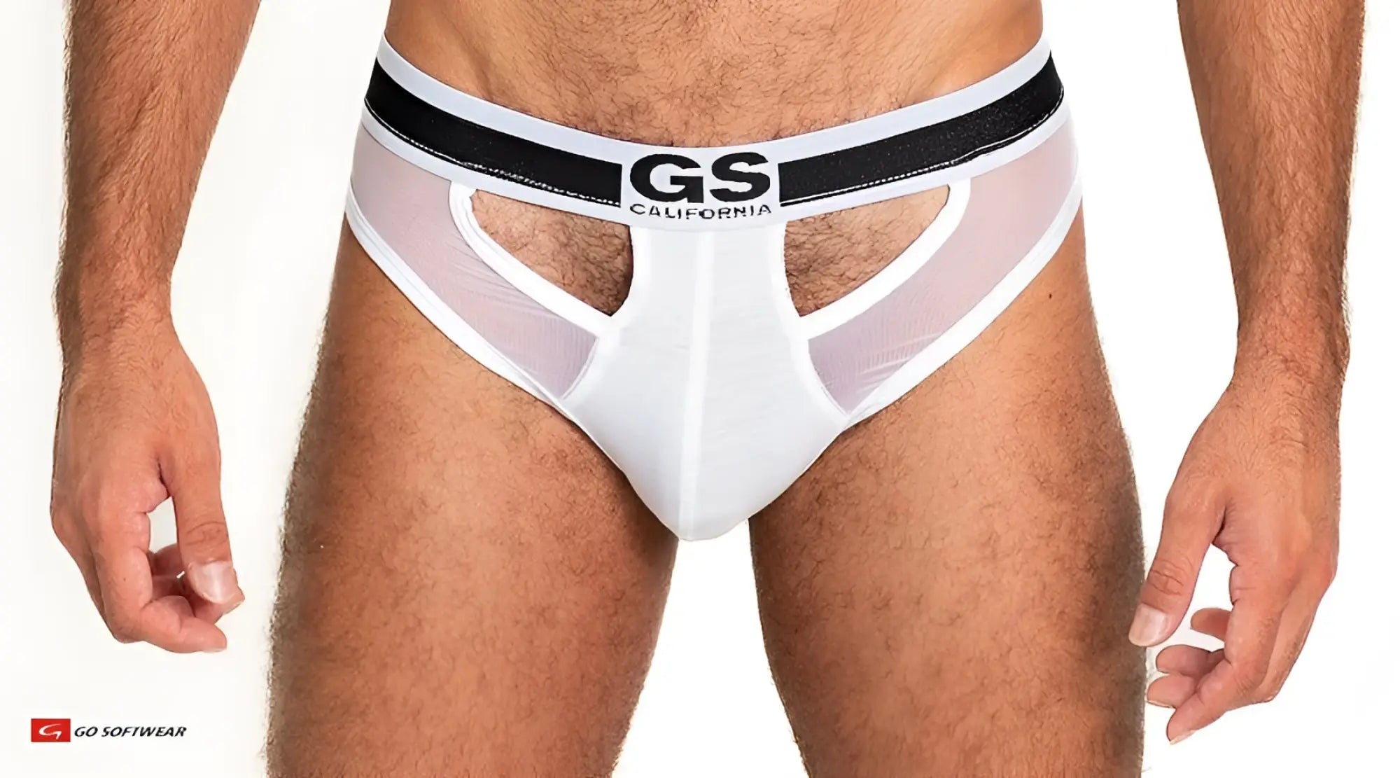 White sheer mesh scoop thong with black and white gs california elastic waistband featuring logo detail