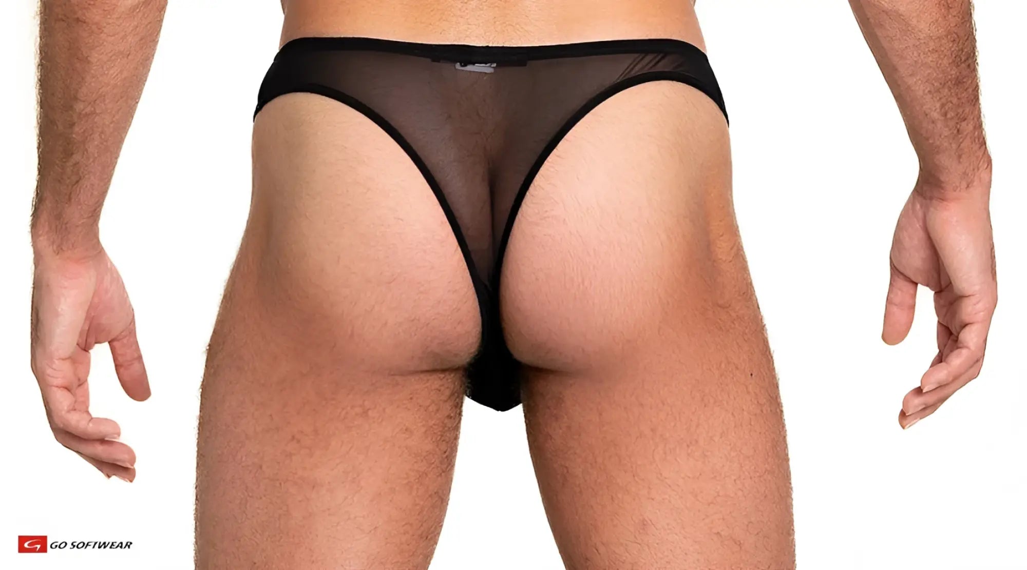 Sheer mesh thong in black featuring sheer mesh briefs with solid black waistband and leg openings, back view