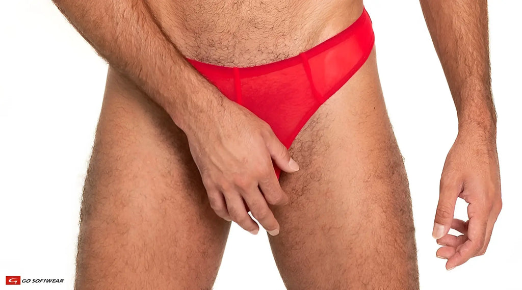 Red sheer mesh thong briefs made of transparent fabric showing the back side of the product