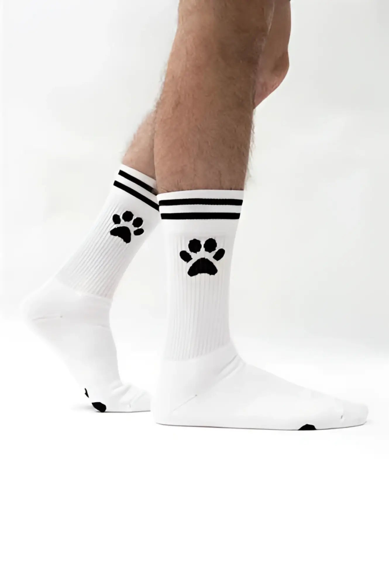 White sk8erboy puppy socks size 39-42 with black paw prints and two black stripes near the top