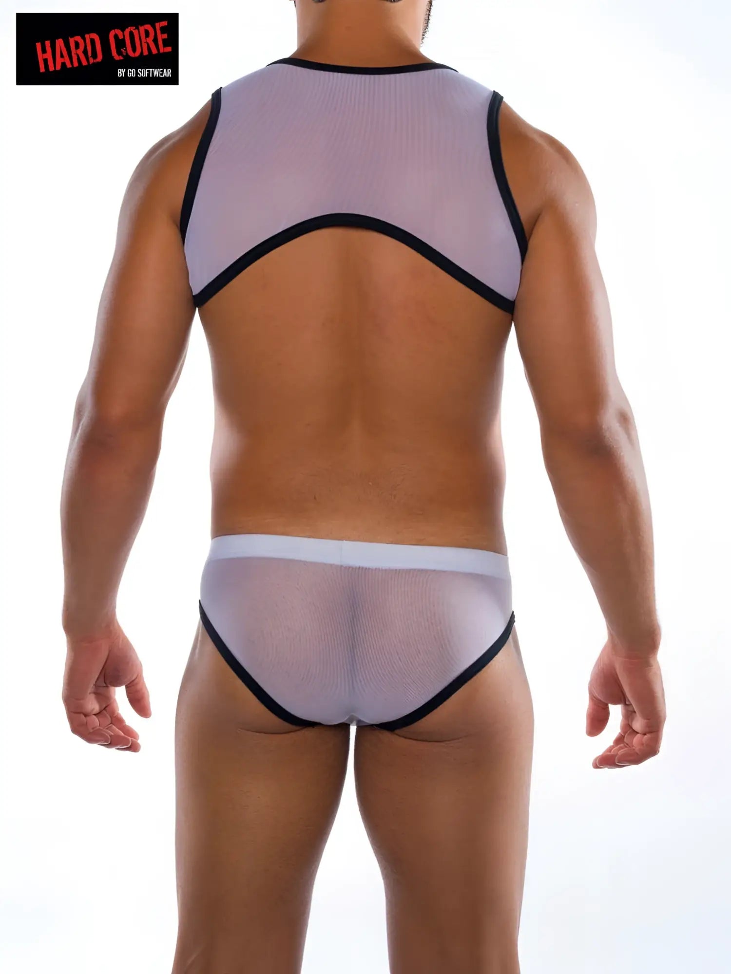 Translucent lavender mesh mens underwear set with black trim featuring a backless top and briefs showing the back side