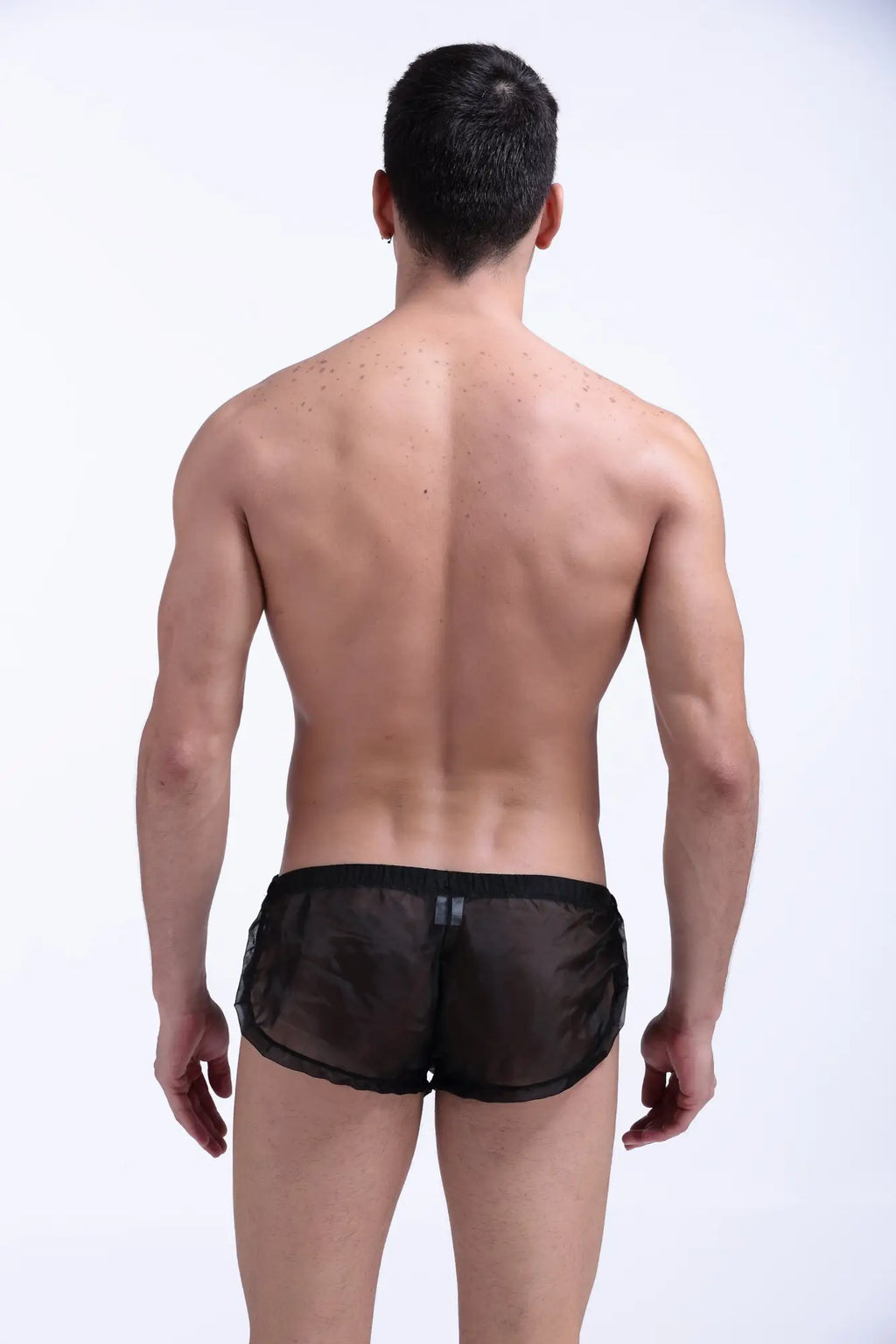 Black sheer mesh snap shorts petitq with solid black waistband and subtle vertical seam detail