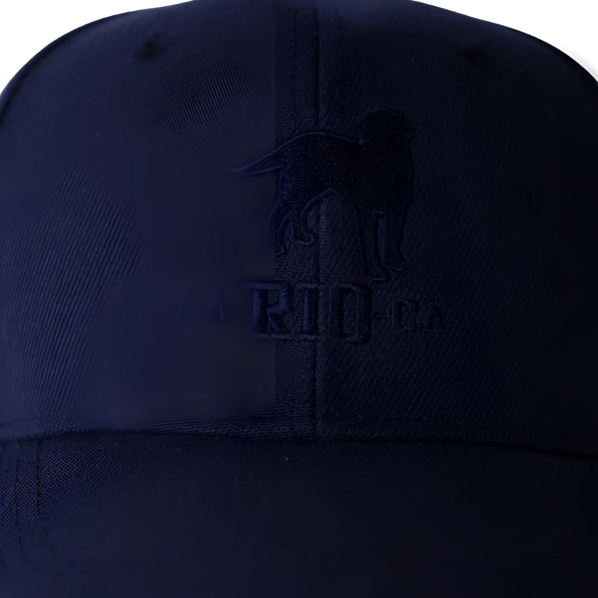 Dark navy blue baseball cap with embroidered dog silhouette above the ca-rio-ca logo in The Stealth design