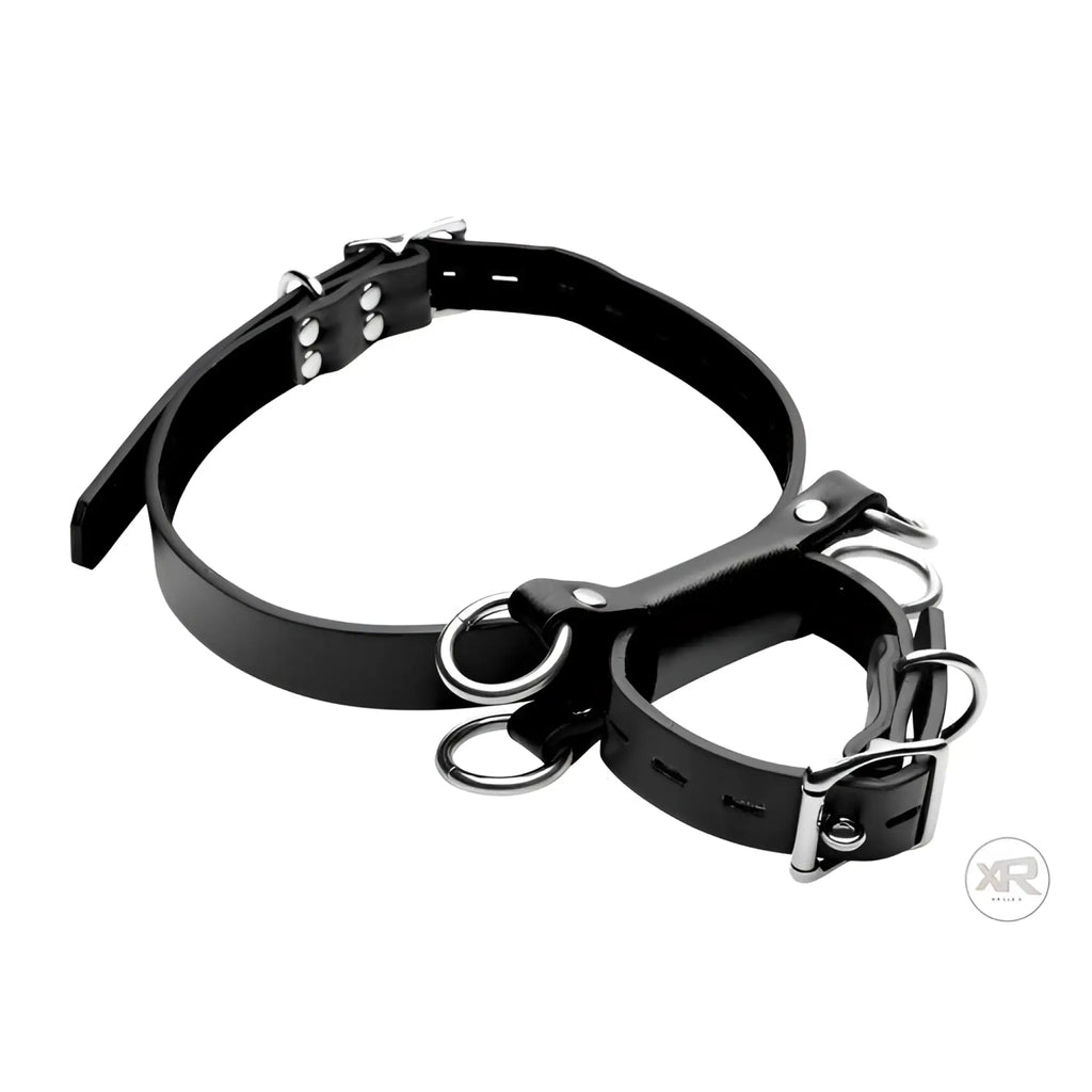 Strict Frog Tie black leather bondage restraint system with adjustable buckles and metal O-rings.