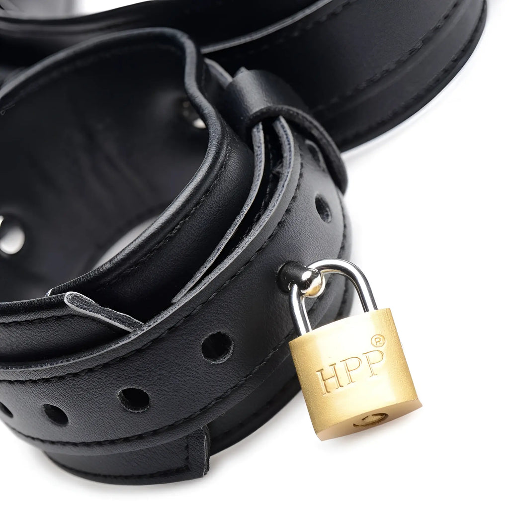 Strict Frog Tie Restraint Set: black leather ankle cuffs with adjustable buckle holes and a gold-toned HPP padlock.