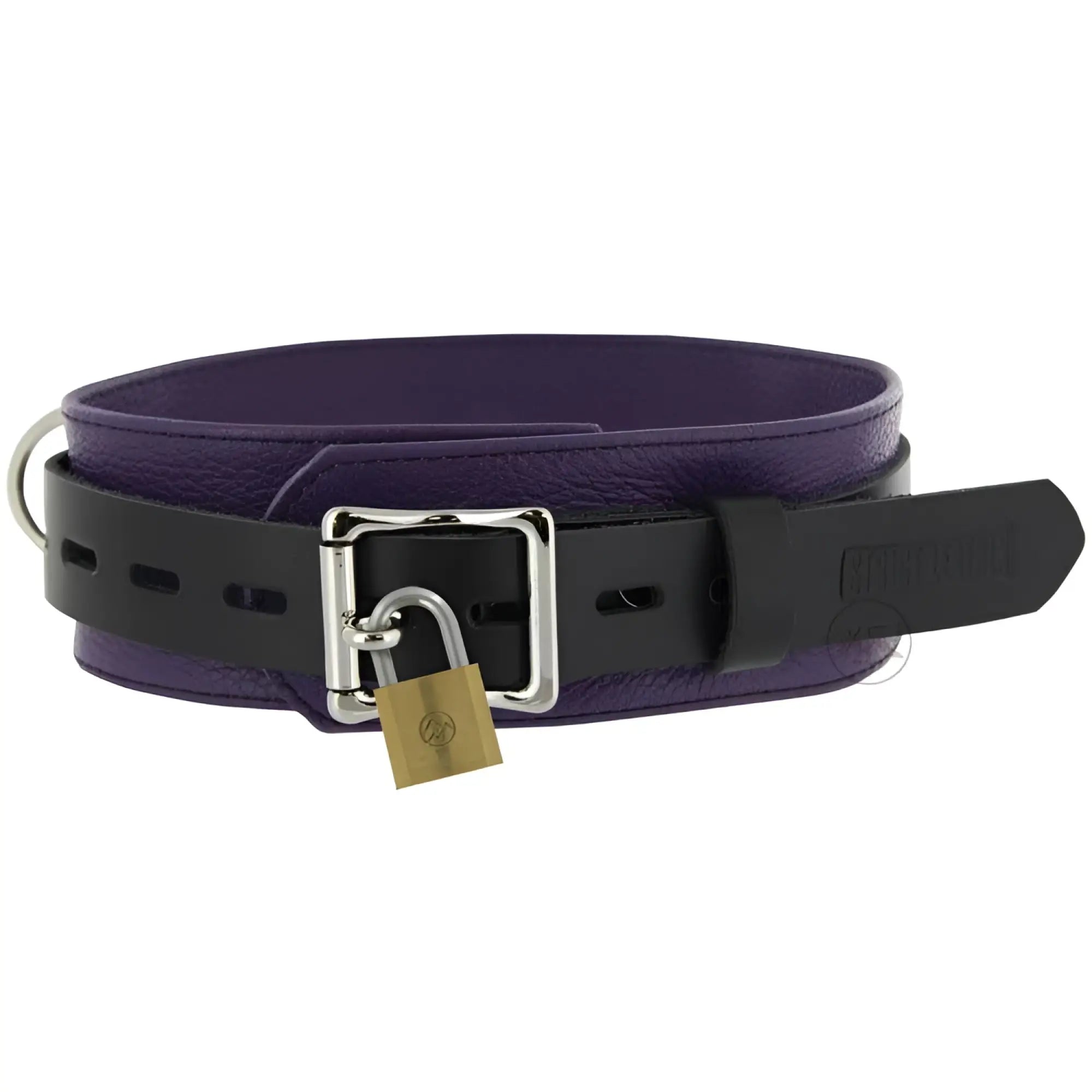 Collar de cuero estricto con cierre de lujo en color negro y morado