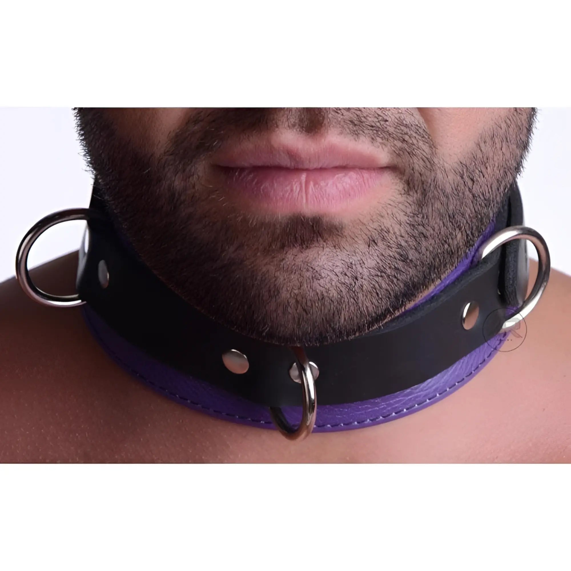Collar de cuero estricto con cierre de lujo en color negro y morado