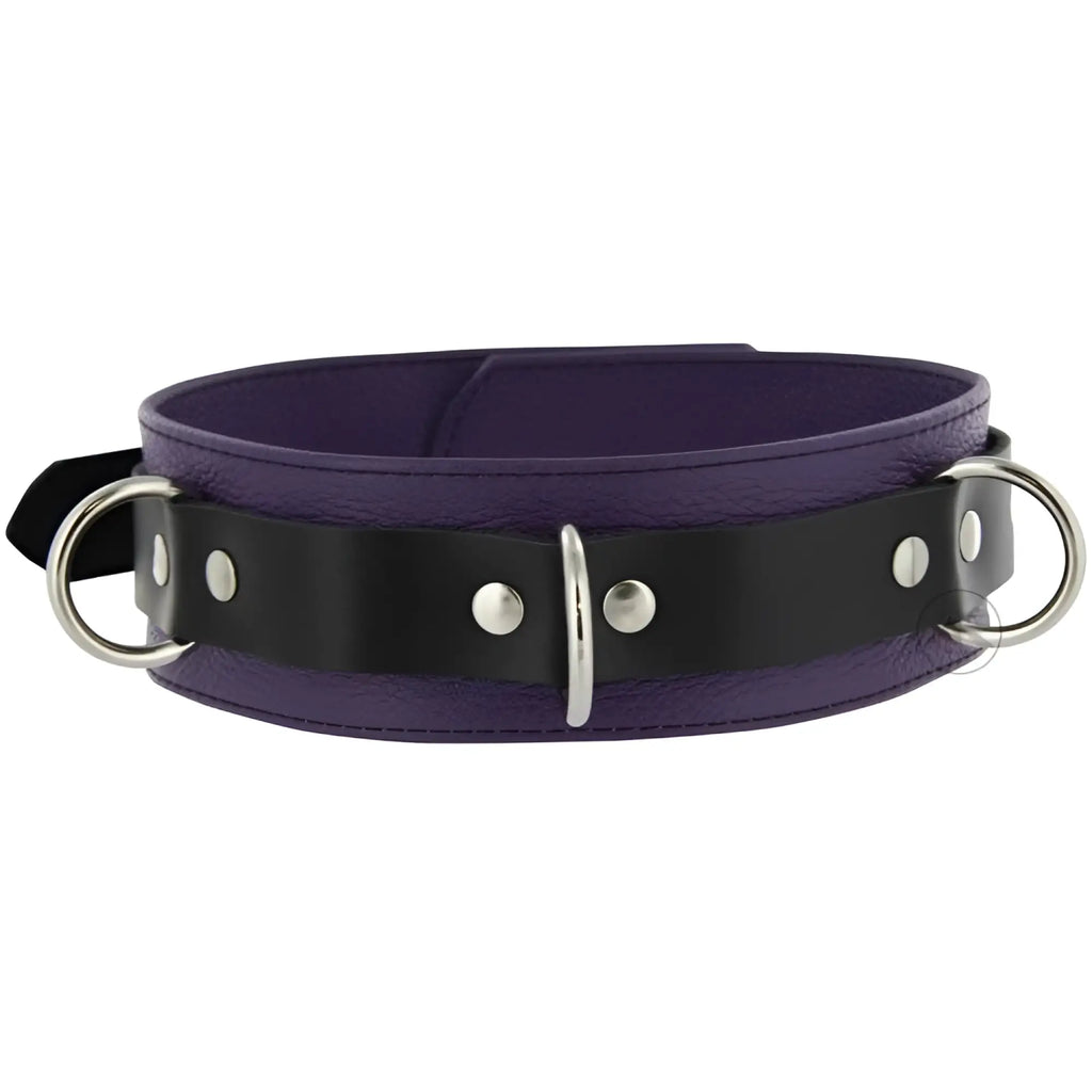Strict Leather deluxe locking collar featuring a wide, textured purple base, black leather overlay, and silver O-rings.