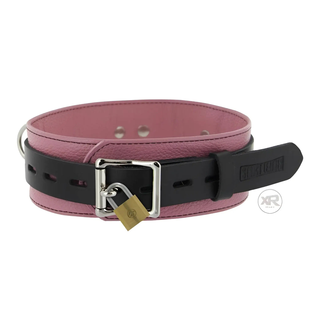 Strict Leather Deluxe black and pink leather locking collar with silver buckle and small brass padlock.