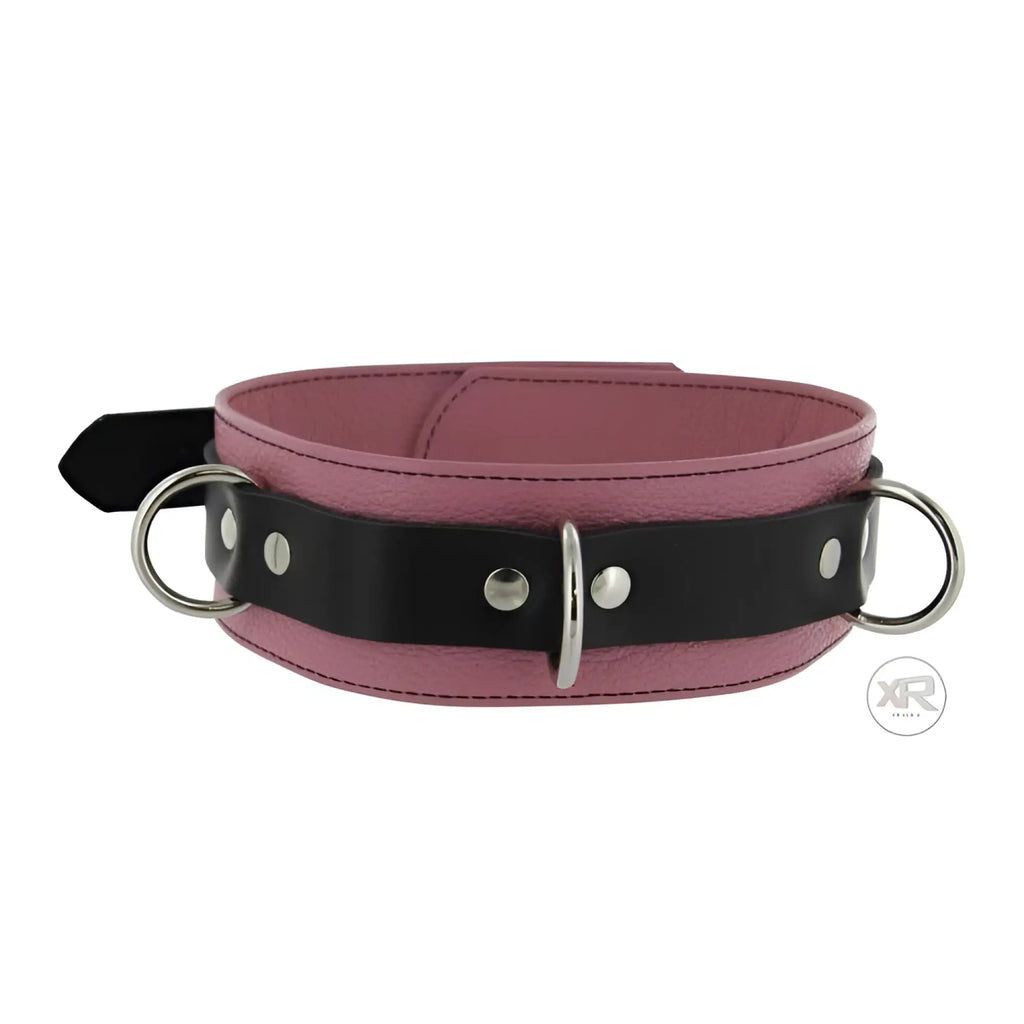 Strict Leather Deluxe black and pink locking leather collar with silver hardware rings on a white background.