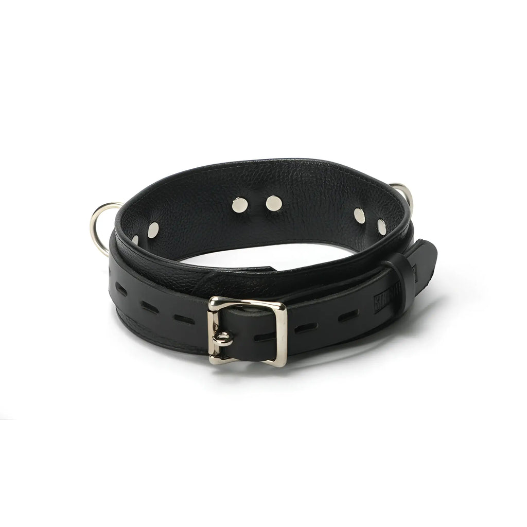 Strict Leather Deluxe Locking Collar: A black leather collar with silver hardware, a belt-style buckle, and metal rings.