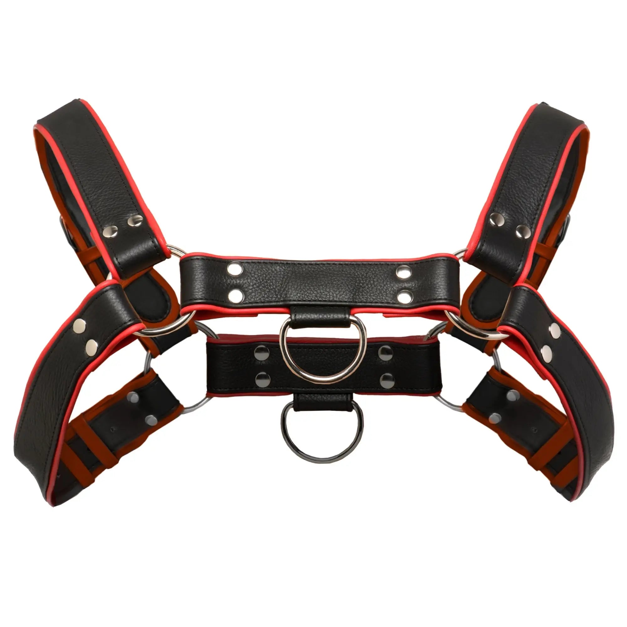 Strict Leather English Bull Dog harness in black leather with red trim, silver rivets, and two O-rings.