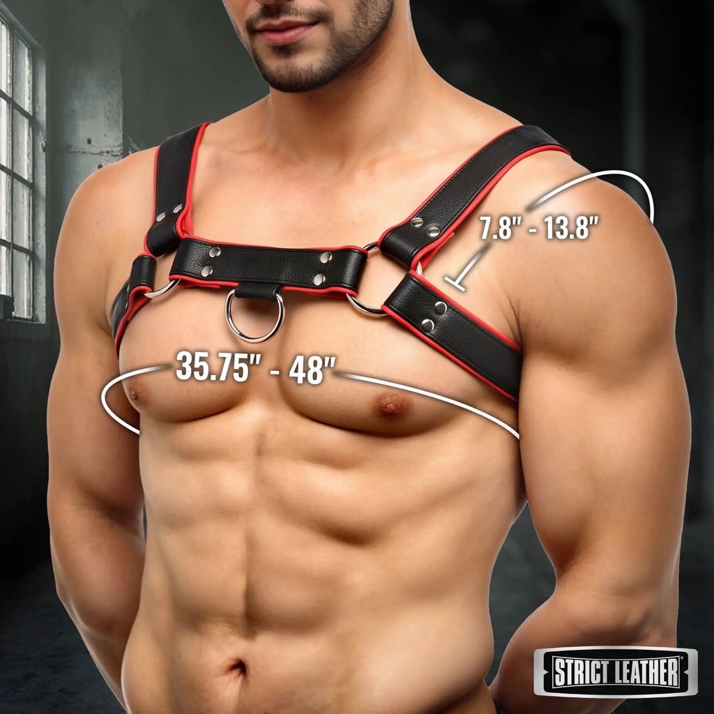 Strict Leather English Bulldog harness in black with red trim, worn on a muscular torso, including sizing measurements.