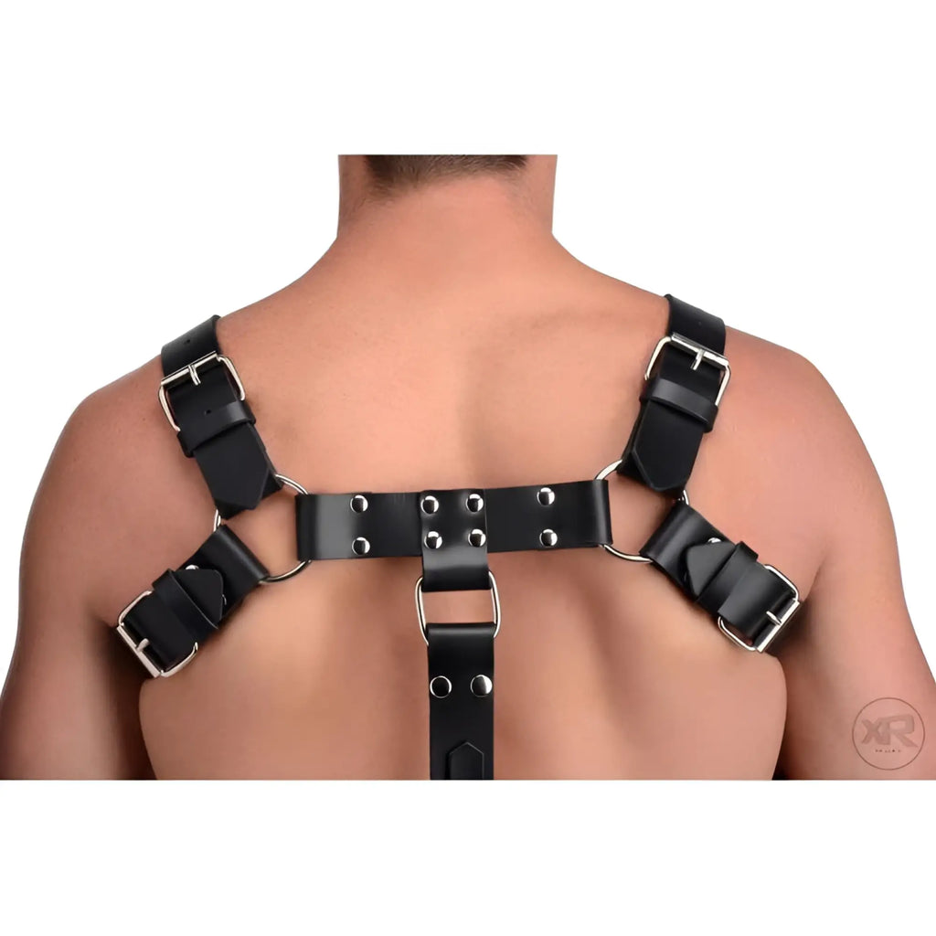 Black leather English bulldog harness with cock strap, worn on a person's back.