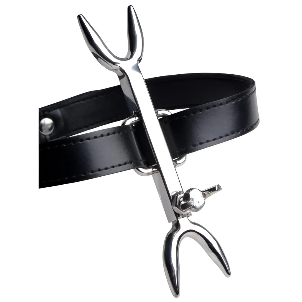 Strict Leather Heretics Fork: A silver metal, two-pronged fork attached to a black leather collar.