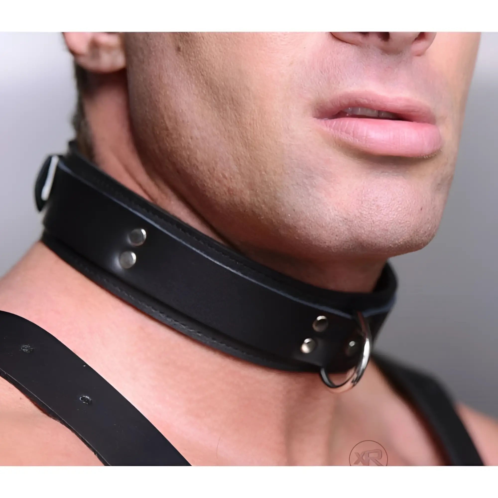 Strict Leather Lightweight Lined Collar: A black leather collar with silver hardware and a metal D-ring, worn on a neck.