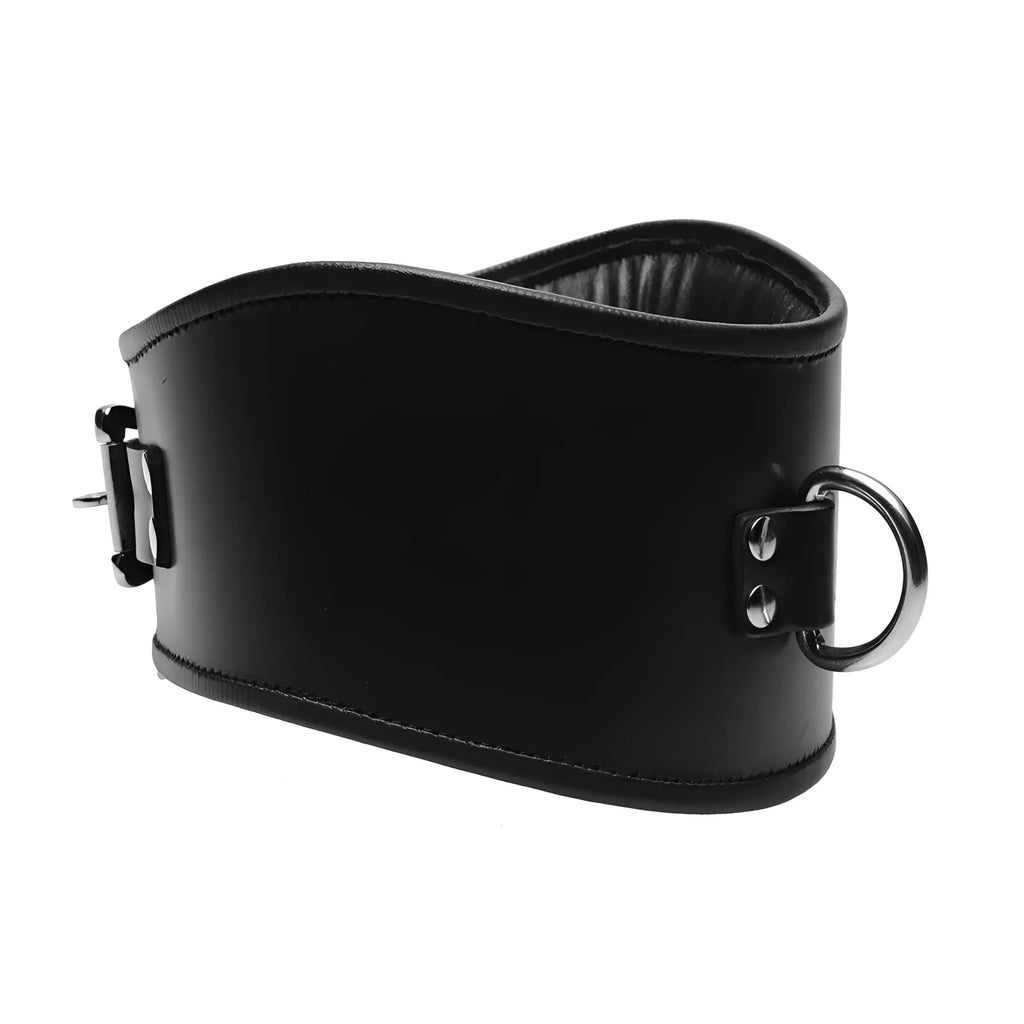 Strict Leather Locking Posture Collar: Wide black leather neck collar with silver hardware and a front D-ring.