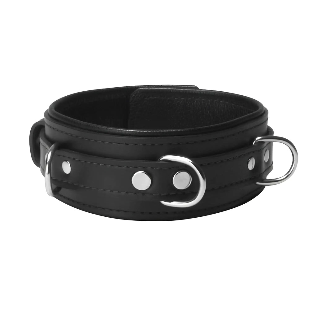 Strict Leather Premium Locking Collar: Black leather collar with silver-tone hardware, D-rings, and rivets.
