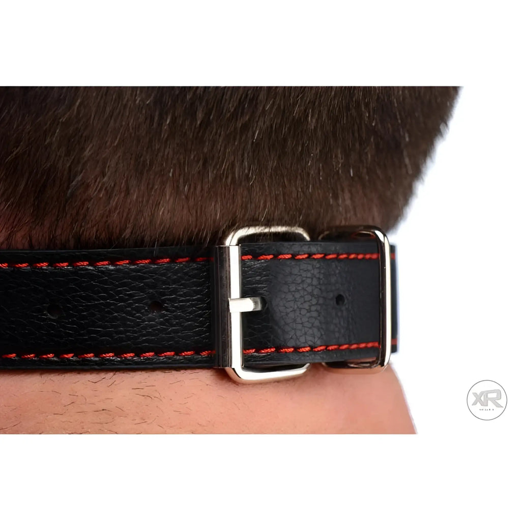 Strict Silicone Bit Gag: A black leather textured strap with red stitching and a silver buckle fastened around a neck.