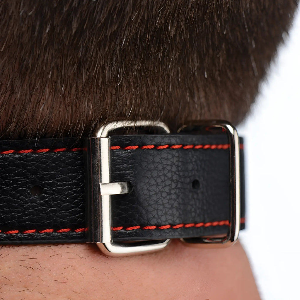 Strict Silicone Bit Gag with Nipple Clamps: Black leather strap with red stitching and silver buckle on a person's neck.