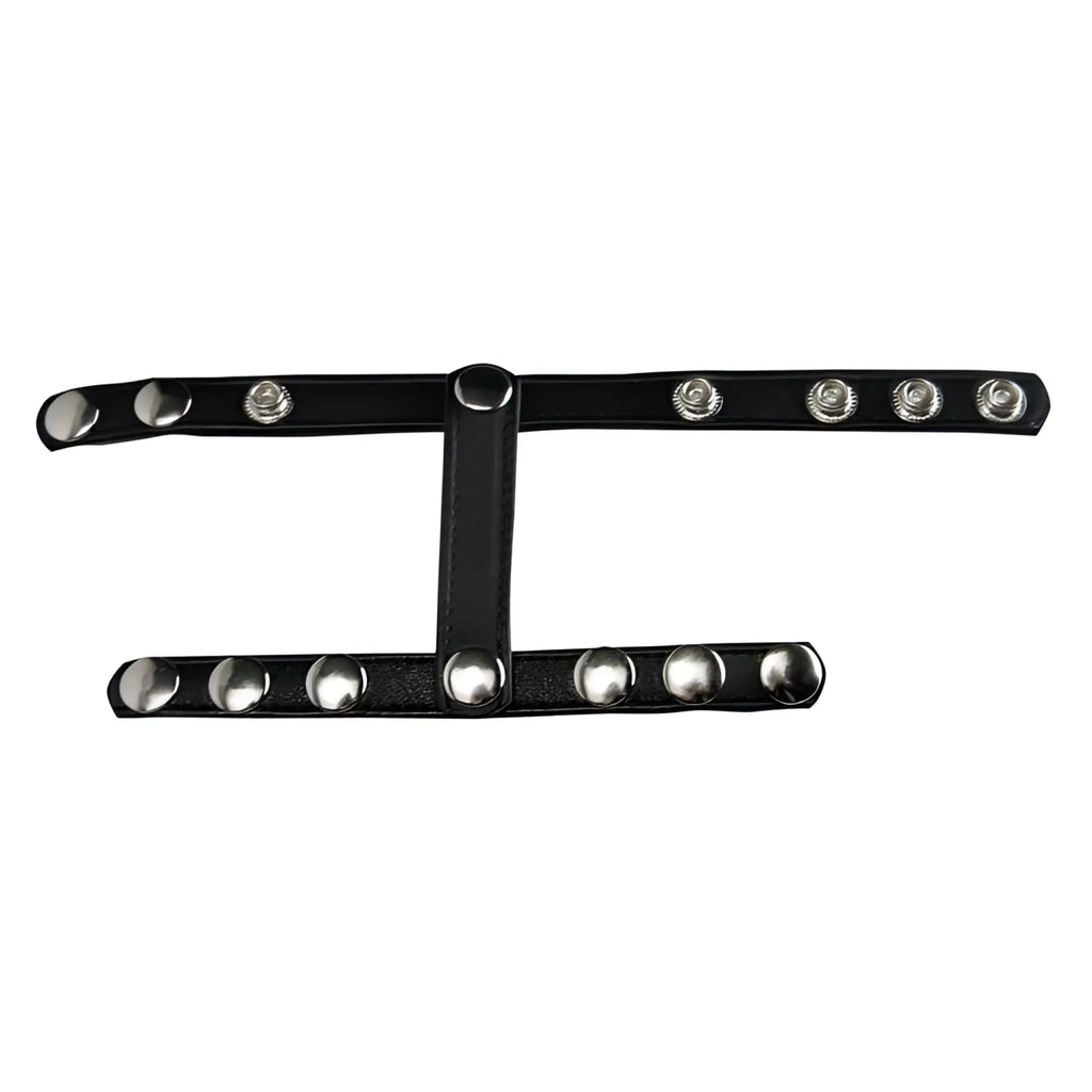 Black leather cock and ball harness with multiple adjustable snap closures.