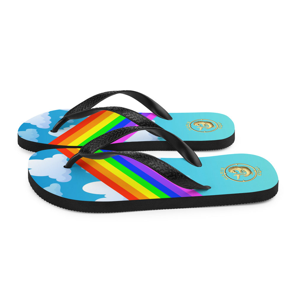Maris Equi Men's Rainbow Flip-Flops